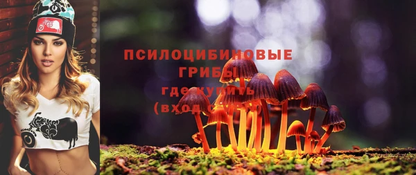 крисы Белоозёрский