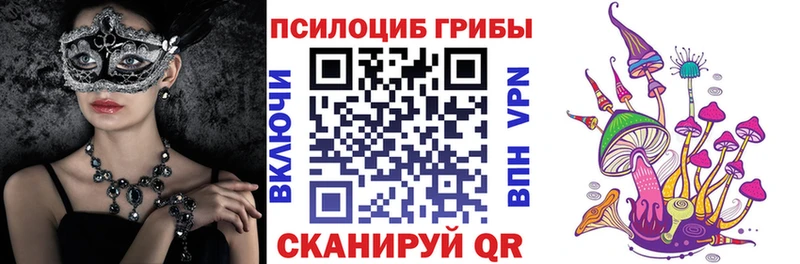 Псилоцибиновые грибы Cubensis Почеп